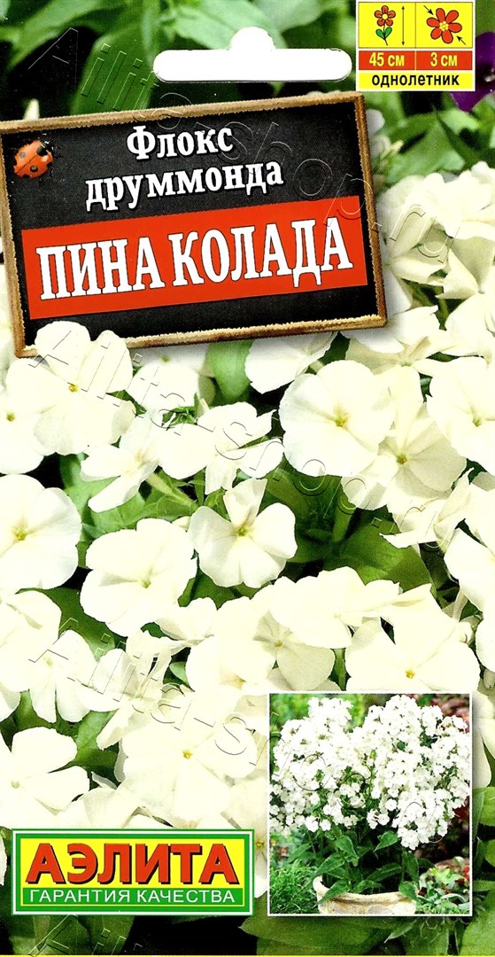 Флокс друммонда крупноцветковый Пина колада 0,2г
