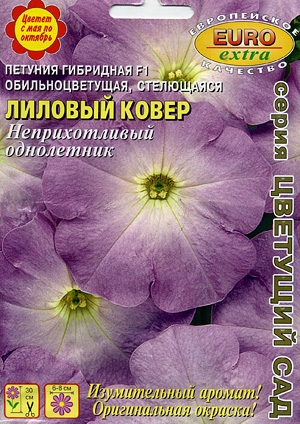 Петуния Лиловый ковер  (Аэлита)
