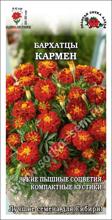 Бархатцы Кармен /Сотка/ 0,2г/ откл. красно-корич. h-20-30см d-4-6см/*1200