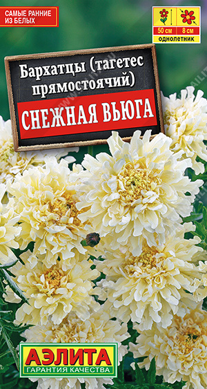 Бархатцы Снежная вьюга однолетник 10шт (Аэлита)