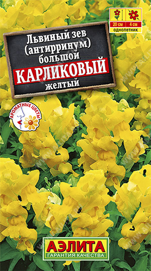 Львиный зев карликовый желтый /Аэлита/