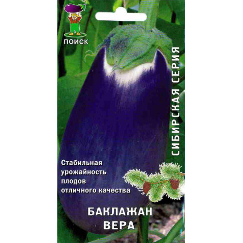 Баклажан Вера (0,25г) Поиск/10