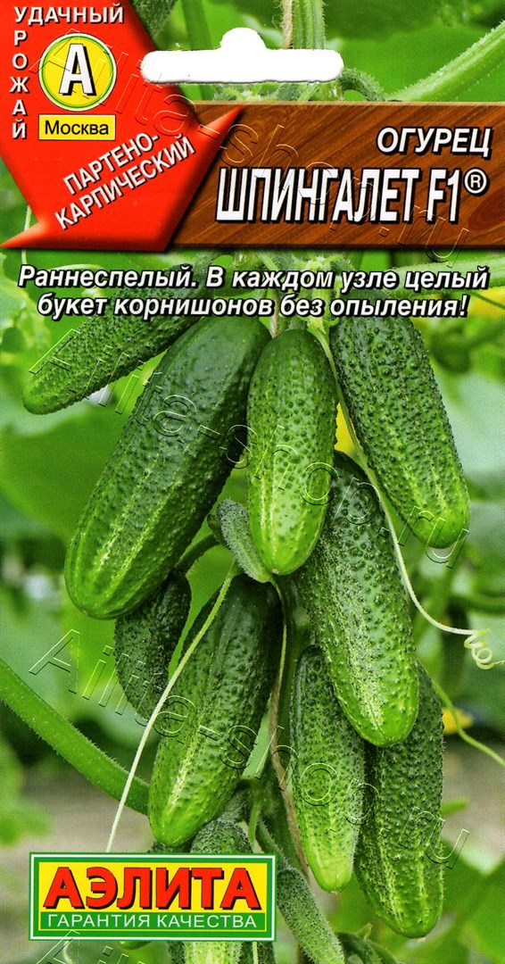 Огурец Шпингалет F1 10шт (Аэлита)