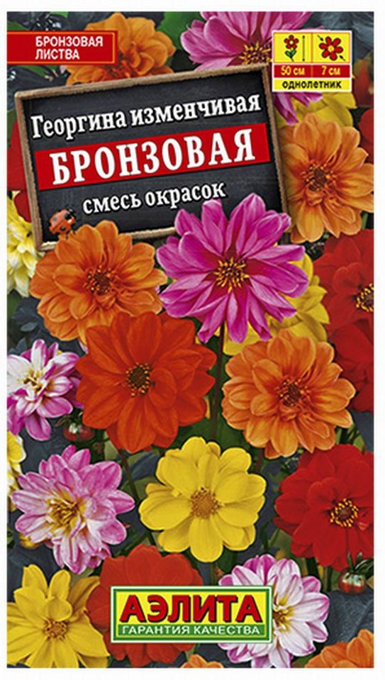 Георгина Бронзовая смесь /Аэлита/ 0,3г/ махров.h-50см h-8см