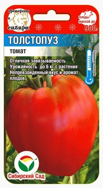 Толстопуз 20шт томат (Сиб сад)