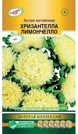 Астра ХРИЗАНТЕЛЛА Лимончелло (5шт) Евросемена