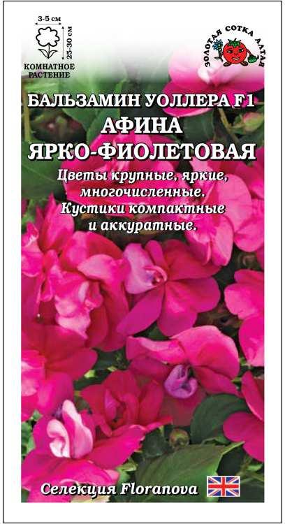 Ком: Бальзамин Афина Ярко-Фиолетовый /Сотка/ 5 шт / махр/*500
