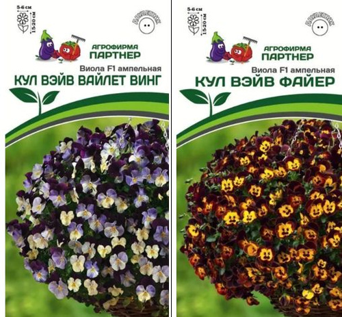 Партнер Виола F1 ампельная КУЛ ВЭЙВ ВАЙЛЕТ ВИНГ ^(5шт) 2-ной пак