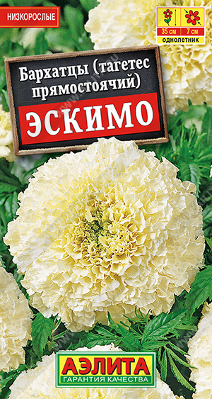 Бархатцы Эскимо /Аэлита/ 0,05г/ прям. крем. 45см, d-7см