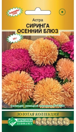 Астра СИРИНГА Осенний Блюз (8шт) Евросемена