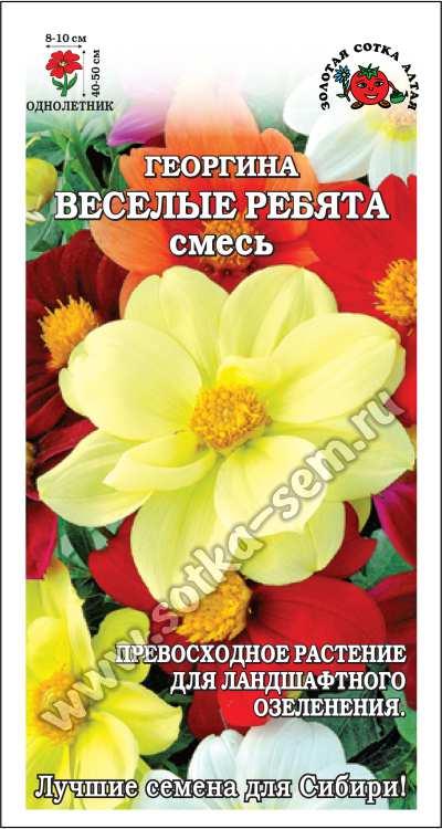 Георгина Веселые ребята смесь /Сотка/ 0,2г/ h-40-50см d-8-10см/*1000