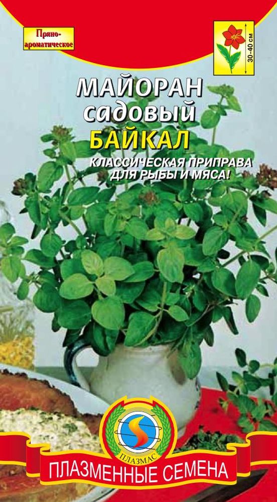 Майоран садовый Байкал