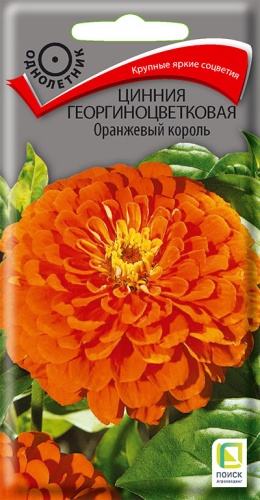 Цинния Оранжевый король 0,4гр (Поиск)