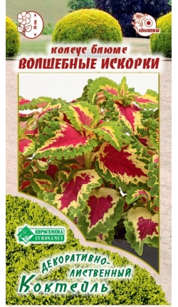 Колеус Блюме Волшебные Искорки (10шт) Евросемена