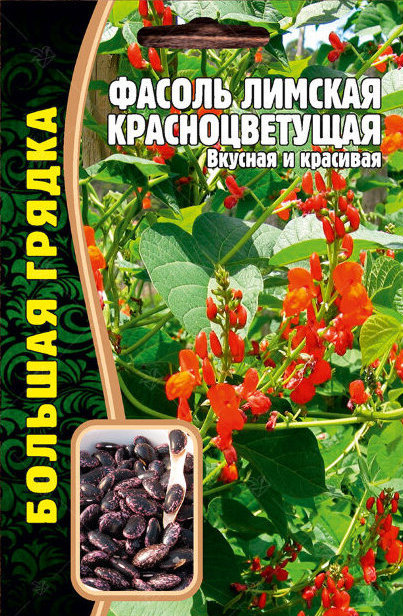 Фасоль Лимская Красноцветущая вьющаяся Большая грядка 5гр (Ред.Сем)