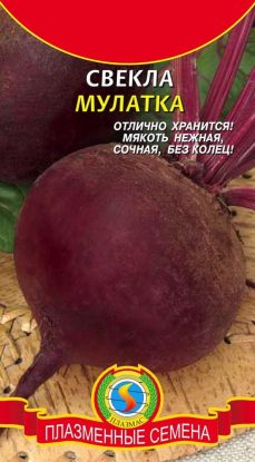 Свекла Мулатка / Плазма/