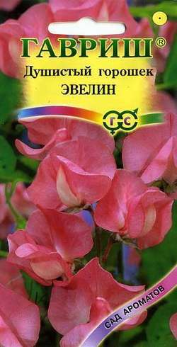 Душистый горошек Эвелин лосо-розов 1г. (Гавриш)