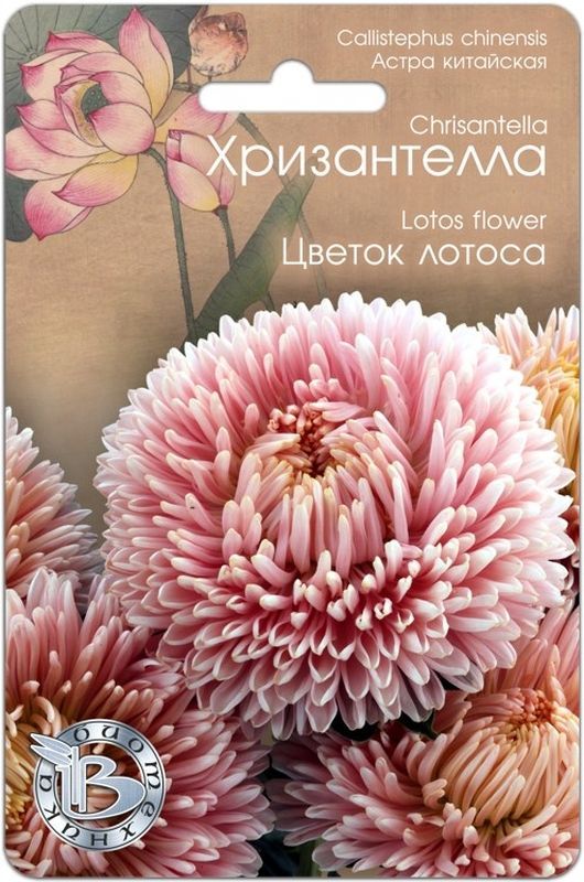 Астра Хризантелла Цветок лотоса (30шт) Биотехника