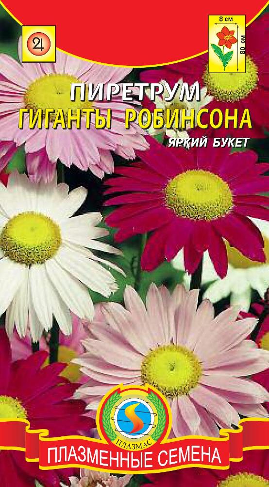 Пиретрум Гиганты Робинсона