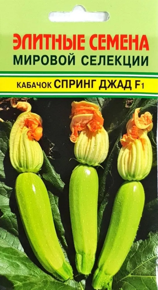 Кабачок Спринг Джад F1 (5шт) Элитные семена