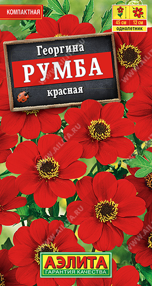 Георгина Румба красная /Аэлита/