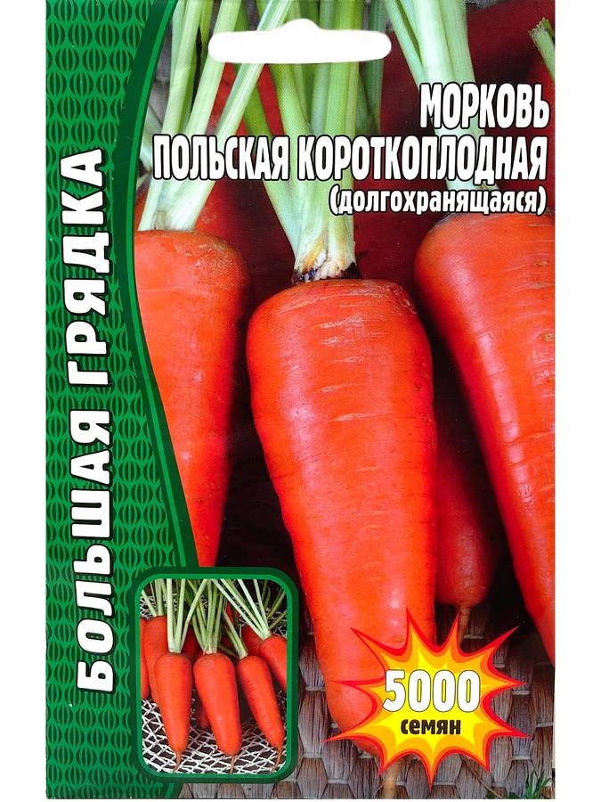 Морковь Польская короткоплодная (долгохранящаяся) (5000шт) Редкие Овощи