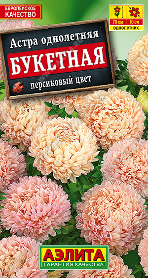 Астра Букетная Персиковый Цвет /Аэлита/ 0,2г/ пион. 65см, d-9см