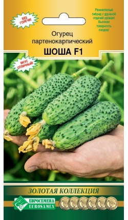 Огурец Шоша F1 (5шт) Евросемена