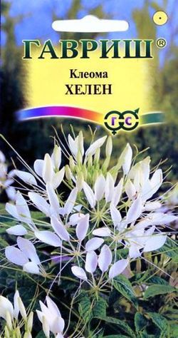 Клеома Хелен /Гавриш/ 0,3г/ белая h-150см
