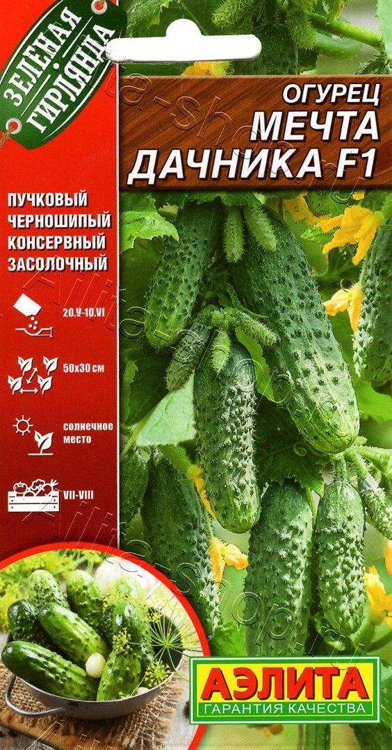 Огурец Мечта дачника F1 10шт (Аэлита)
