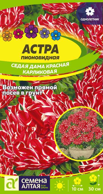 Астра Седая Дама Красная карликовая/Сем Алт/цп 0,1 гр. (2026 / 21863)