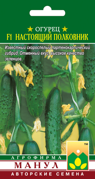 Огурец Настоящий полковник F1 /Манул/ 10шт/ партен. раннесп. 13-15см