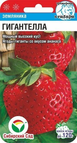 Гигантелла 10шт земляника (Сиб сад)
