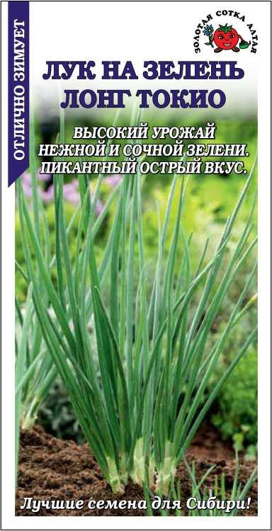 Лук на зелень Лонг Токио /Сотка/ 0,3г/ раннесп. 50-60г/*1200