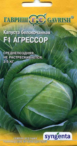 Капуста Агрессор  F1 б/к  (НС Голландия)