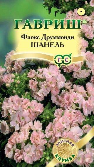 Флокс Шанель /Гавриш/ 8шт махровый