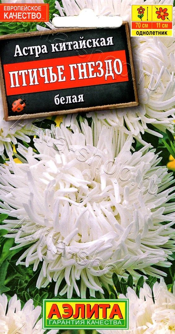 Астра Птичье гнездо белая /Аэлита/ 0,2г/ когот. 70см, d-11см