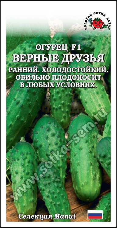 Огурец Верные друзья F1 /Сотка/ 0,15г / раннесп. 8-10см/*1500