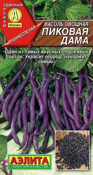 Фасоль Пиковая дама  (5г)  Аэлита