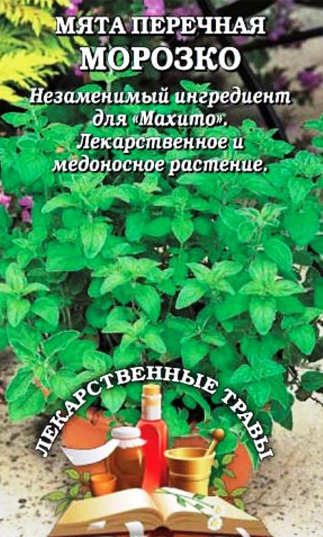 Мята Морозко /Сотка/ 0,03г/ перечная многолет. до 50см /*1500
