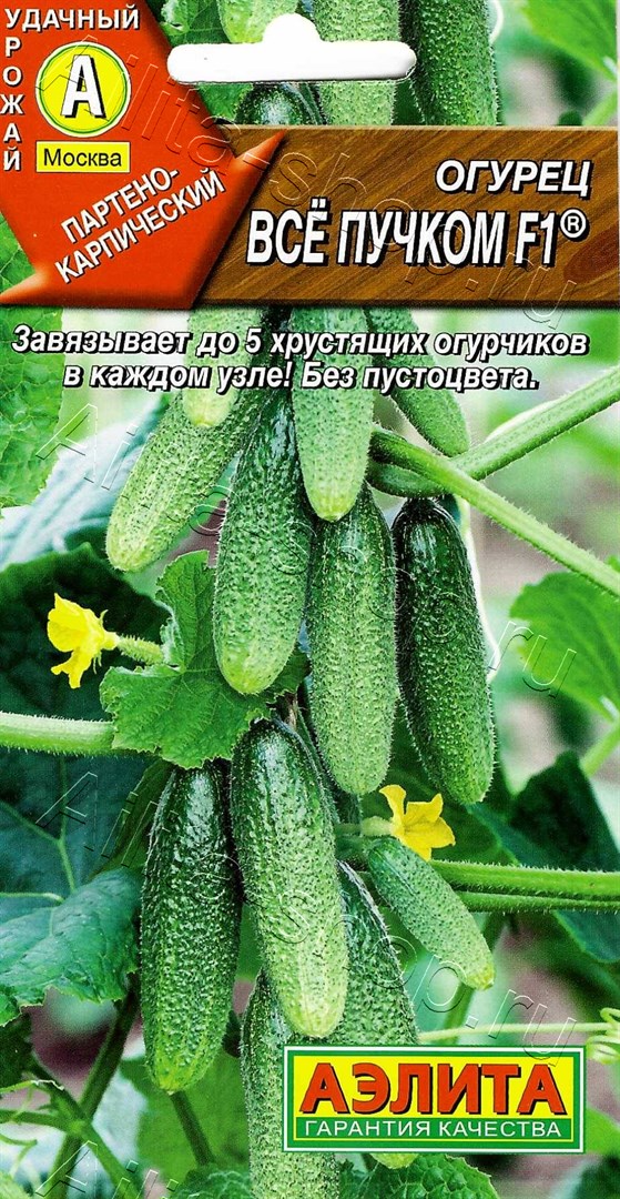 Огурец Все пучком F1 /Аэлита/0,25гр