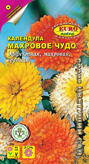 Календула Махровое чудо /Аэлита/ 0,5г/ h-60см d-6-7см