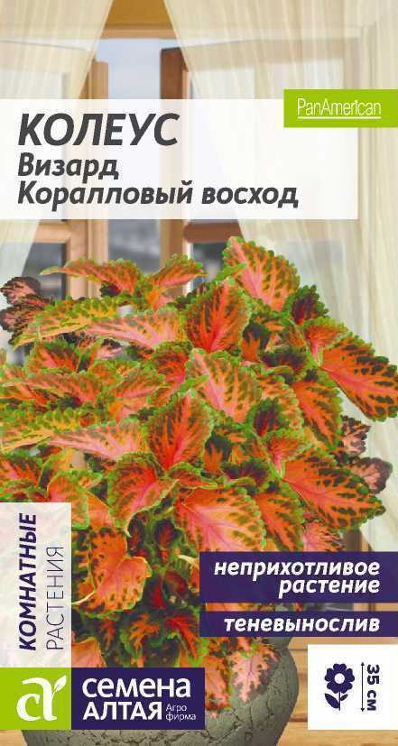 Цветы Колеус Визард Коралловый Восход/Сем Алт/цп 8 шт. (2026 / 1155)