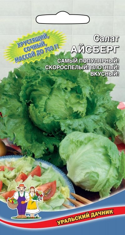 Салат Айсберг (УД) (среднеспелый, кочанный, отличается высокой урожайностью)