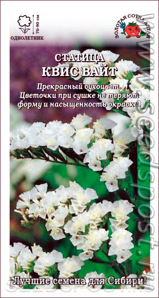 Статица Квис Вайт /Сотка/ 10шт/ белый h-90см PanAm./*350
