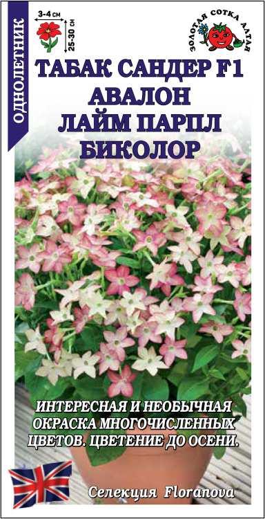 Табак Сандер Авалон Лайм Парпл Биколор /Сотка/ 7шт/*500