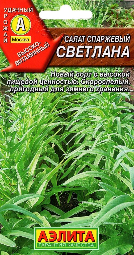 Салат Светлана спаржевый /Аэлита/0,5гр