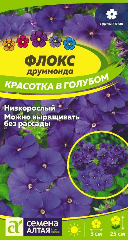 Цветы Флокс Красотка в голубом Друммонда/Сем Алт/цп 0,1 гр (2026 / 21875)