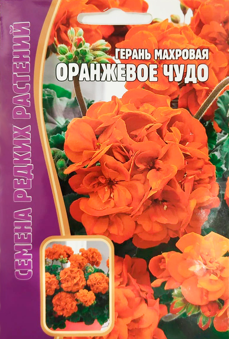 Пеларгония/Герань махровая Оранжевое Чудо 3 шт.Редкие овощи