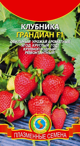 Клубника Грандиан F1/Плазмас/